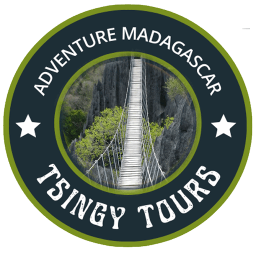 Tsingy Tours